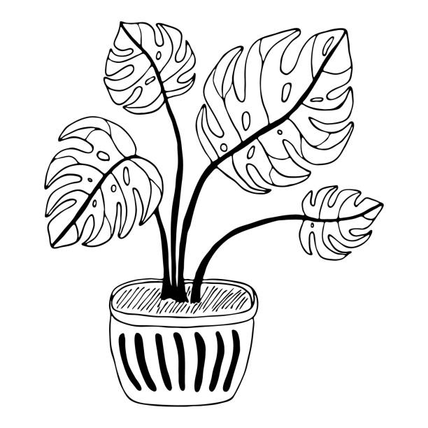 Urban%20Flora